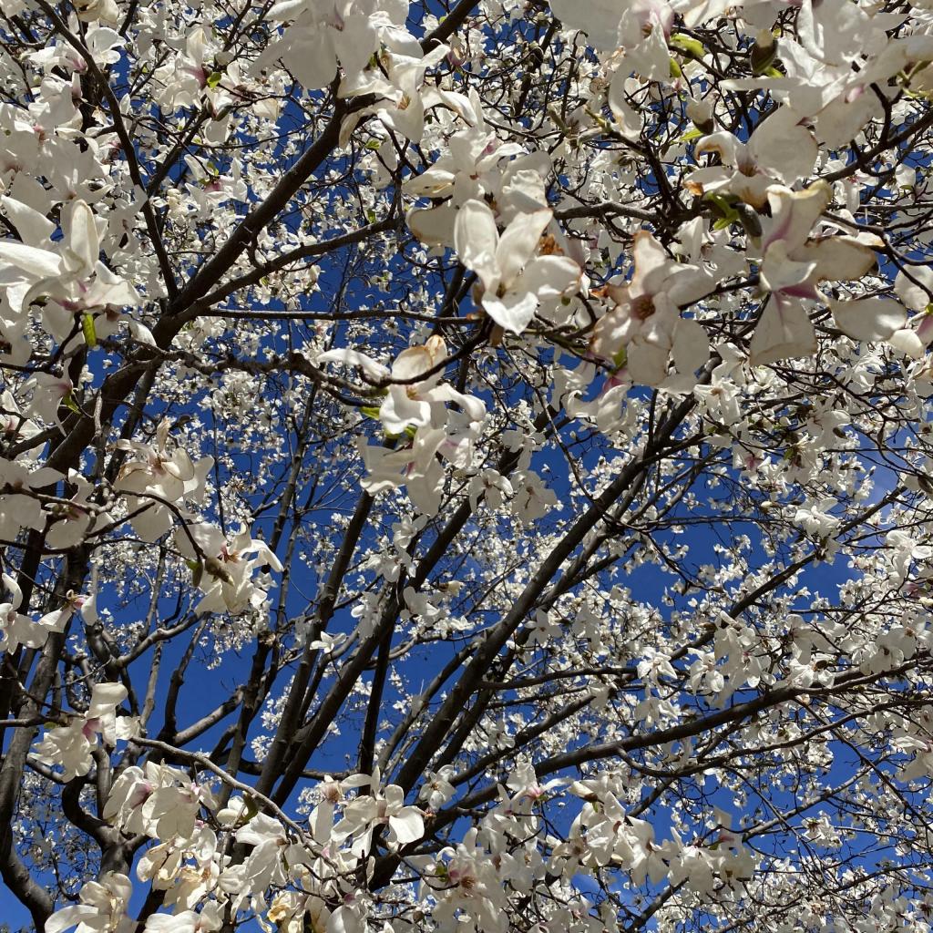 大好きな文理台公園に行ってきました!