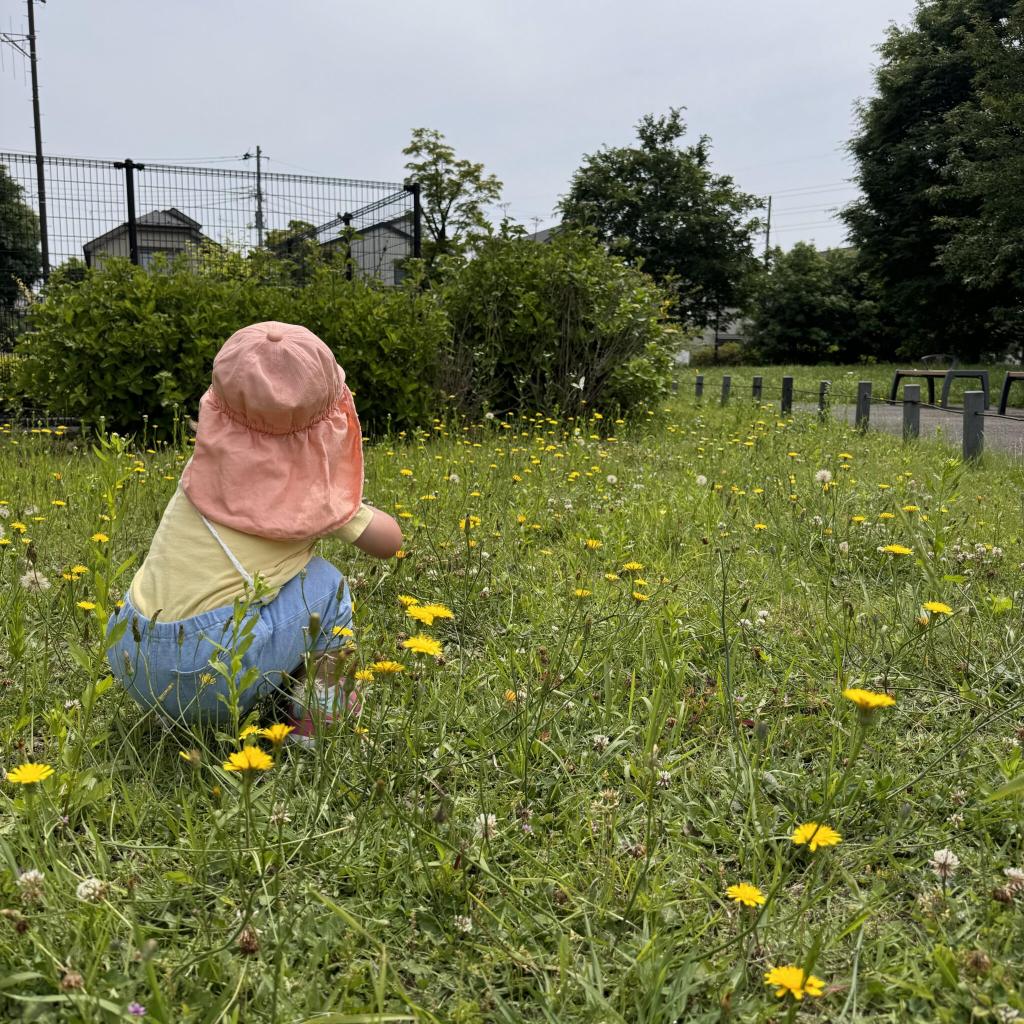 西大泉こさくっぱら緑地で遊びました♪