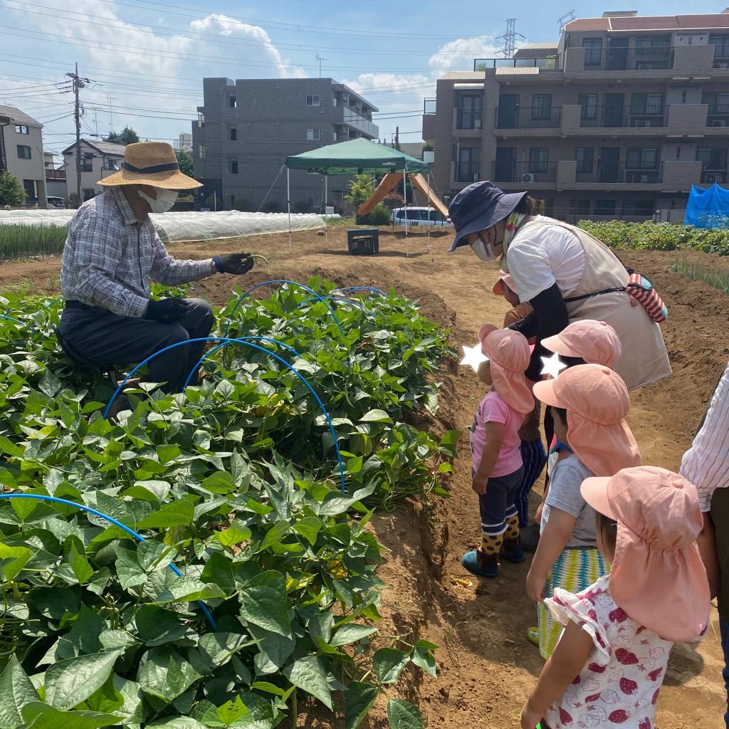 じゃがいも掘りに行ってきました①