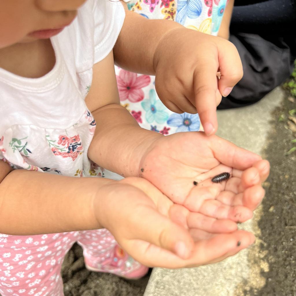 のぞみ児童遊園で虫さがしをしました!