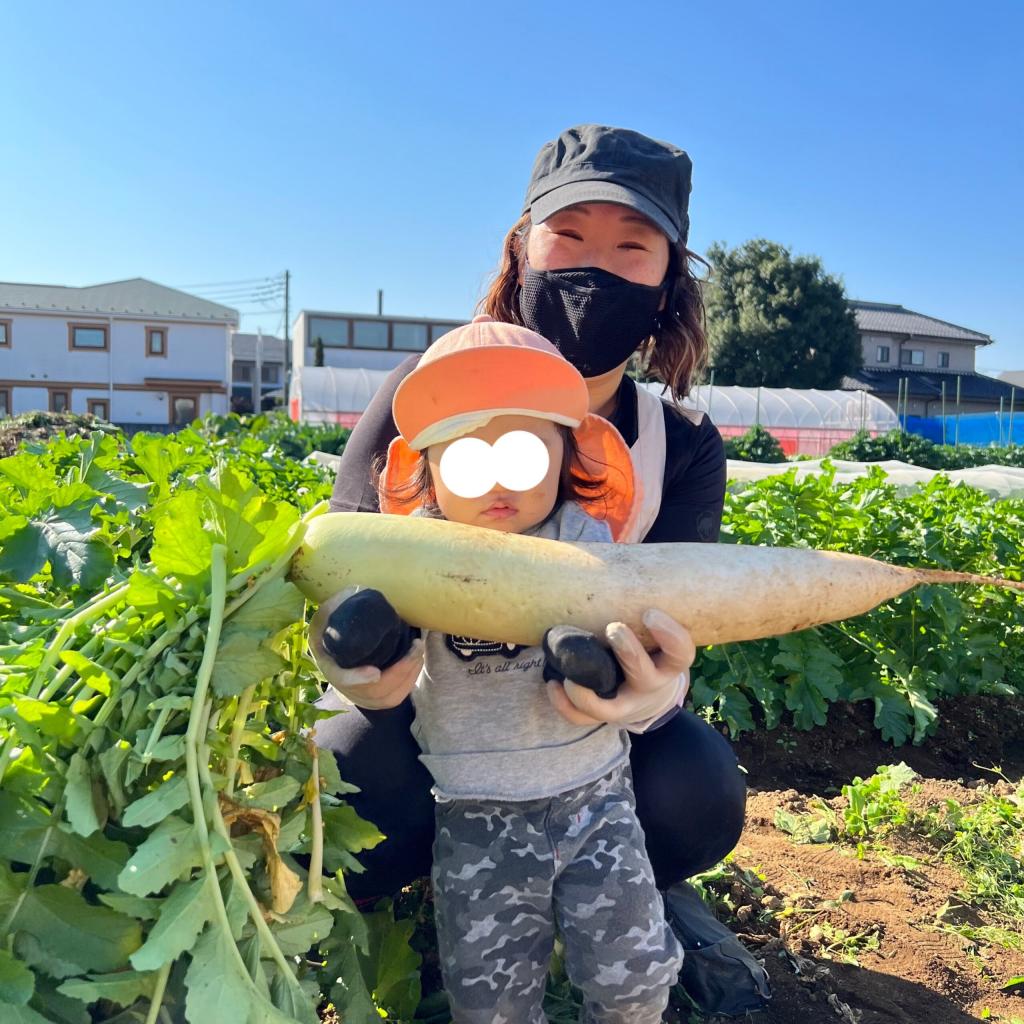 カブ・大根収穫体験に行ってきました♪