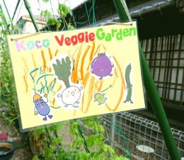 7/21 koco  Veggie  Garden へようこそ~☆