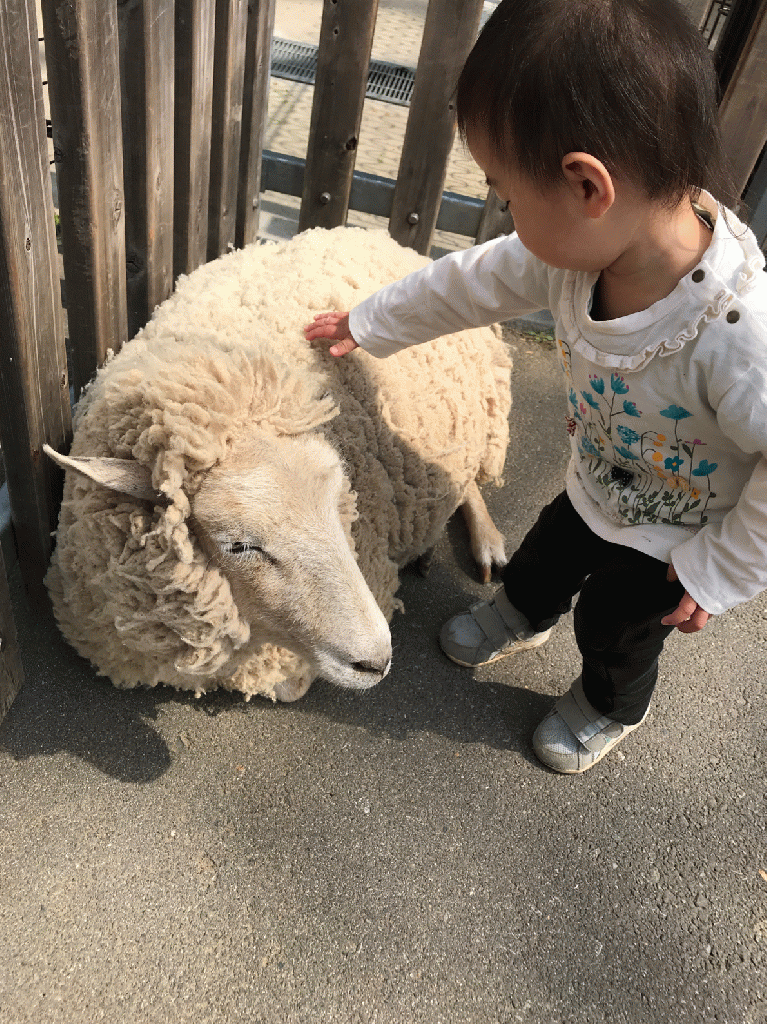 東公園(子ども動物園)☆