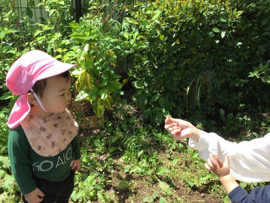 立川市人気の保育園　〜日常〜