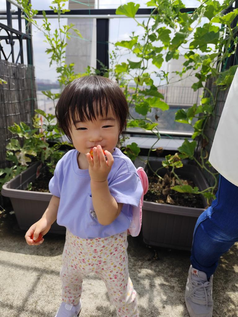 立川市人気の保育園　〜日常〜