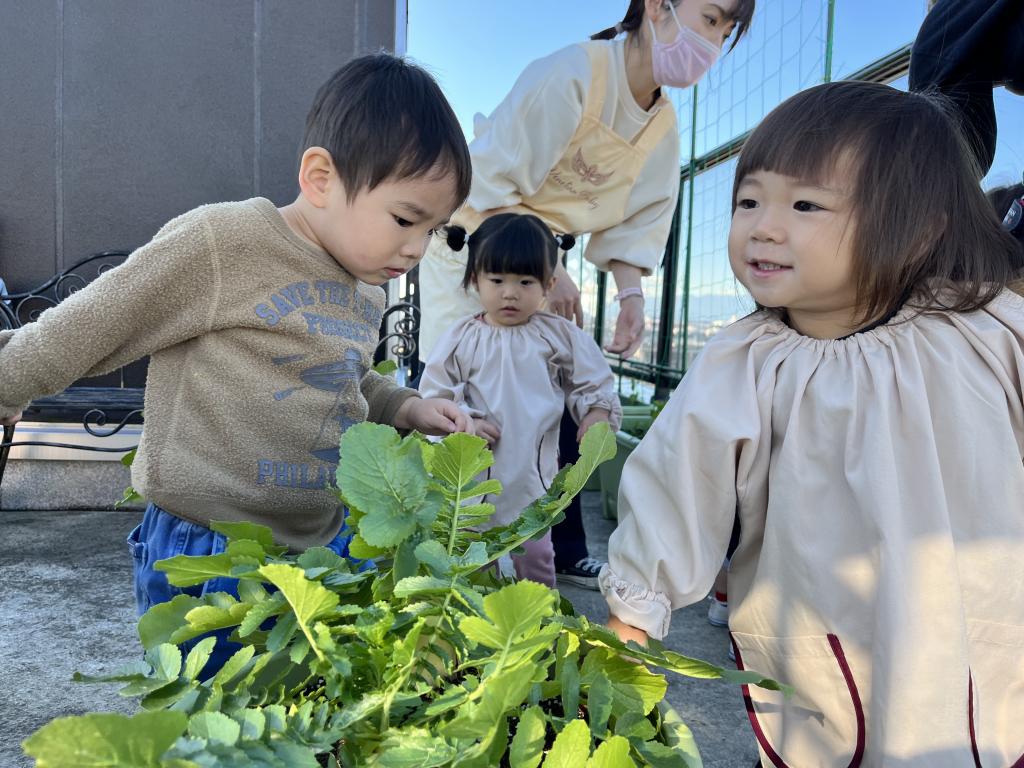 立川市人気の保育園～日常～