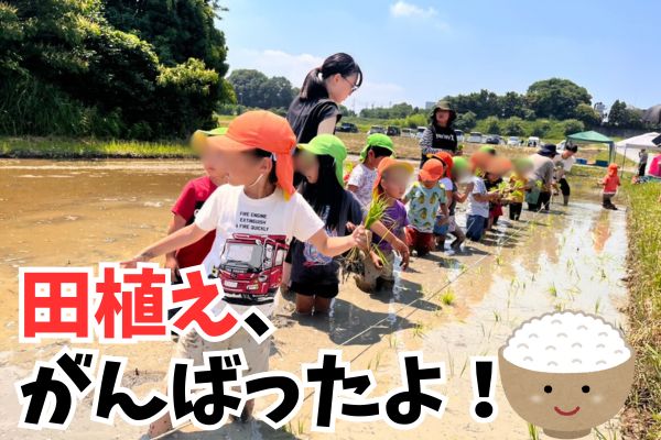 美味しいお米できるかな!田植え体験<大府園>