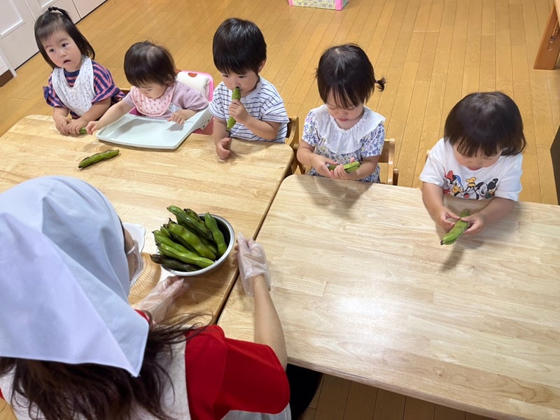 ★食育★そら豆