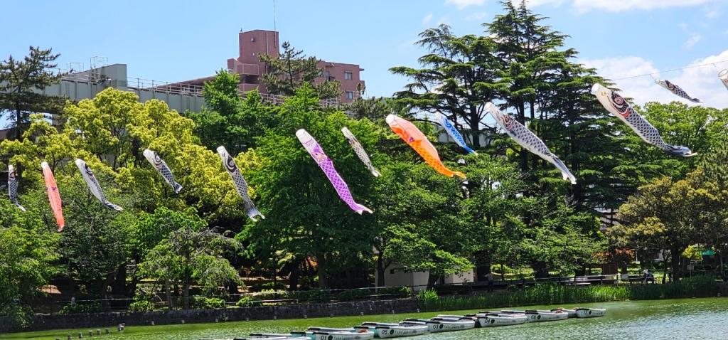 千葉公園のこいのぼり見たよ♪